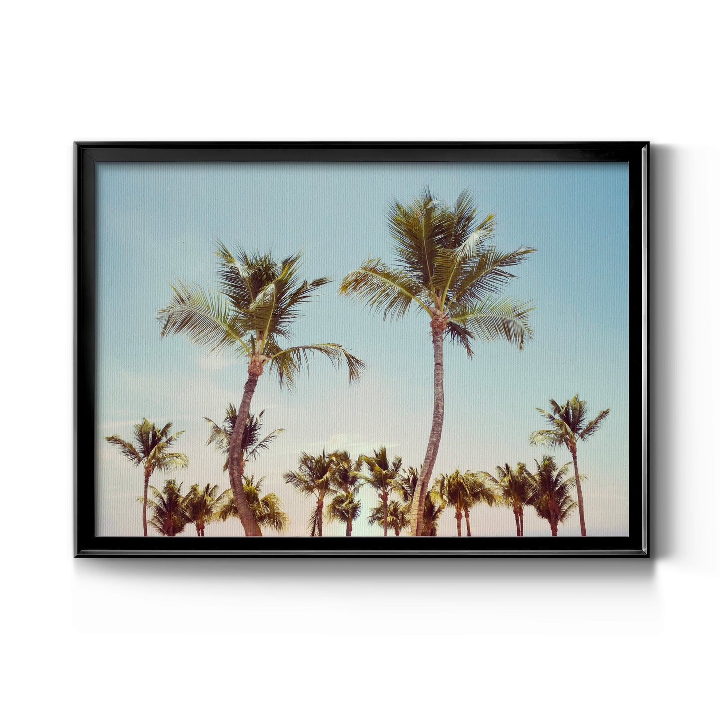 Aruba Palm - Modern Framed Canvas Print
