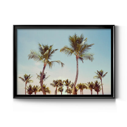 Aruba Palm - Modern Framed Canvas Print
