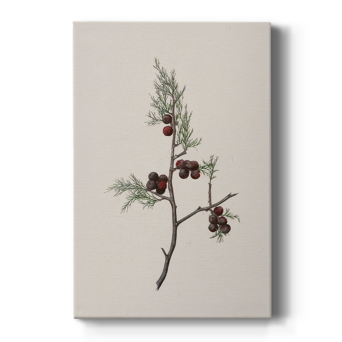 Midnight of Frostlit Morning - Canvas Art Print