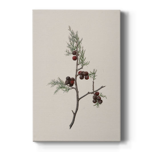 Midnight of Frostlit Morning - Canvas Art Print