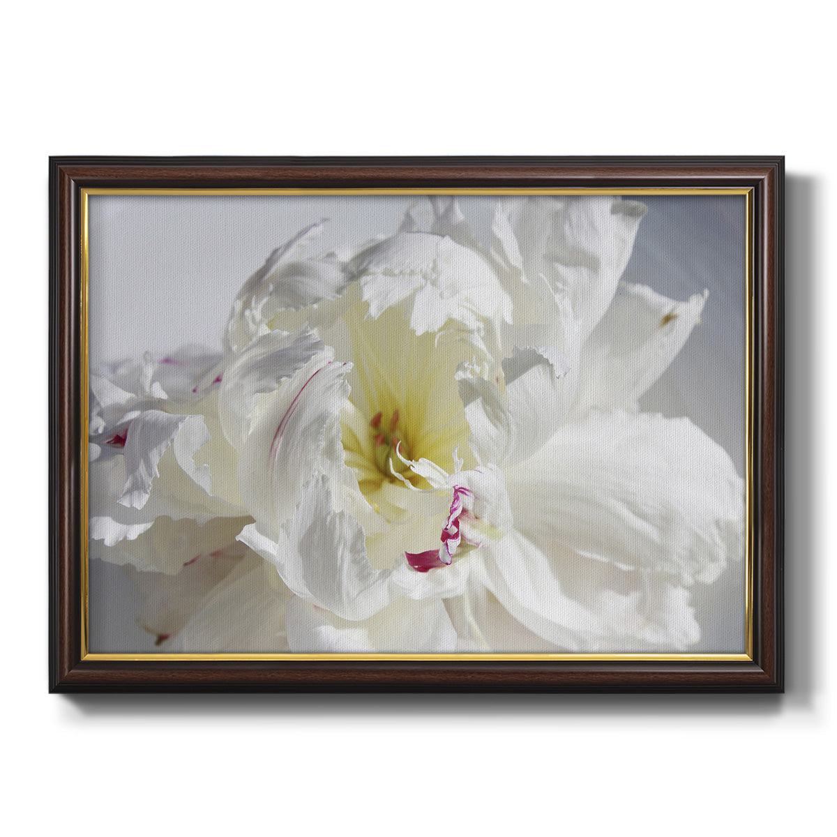 Breathless IV - Ornate Framed Canvas Print