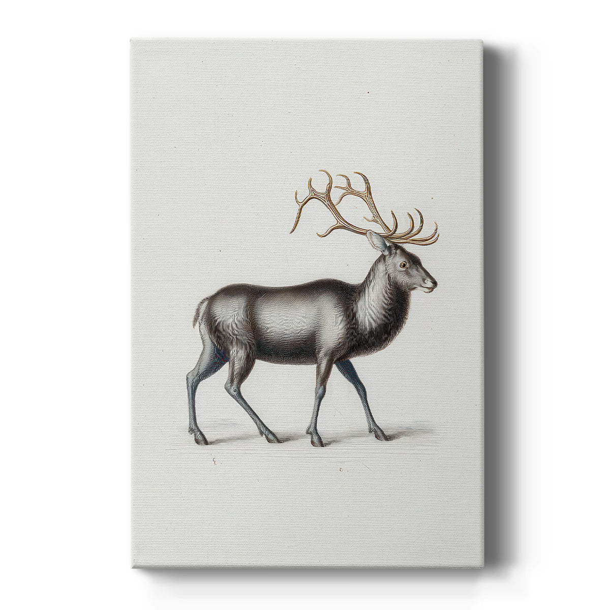 Frostlit Blessing of Hearth - Canvas Art Print
