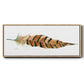 Tail Feather I - Floater Framed Canvas Print