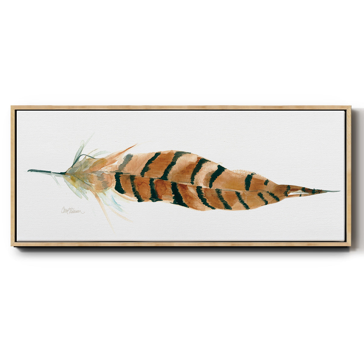 Tail Feather I - Floater Framed Canvas Print