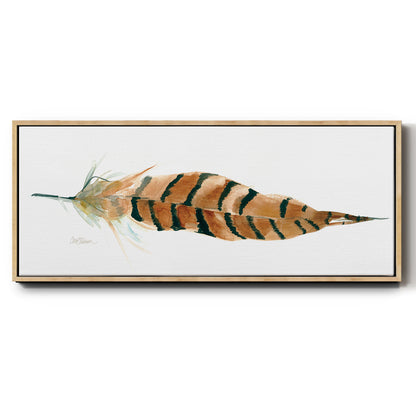 Tail Feather I - Floater Framed Canvas Print