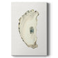 Neutral Oyster Study II  Premium Gallery Wrapped Canvas - Ready to Hang