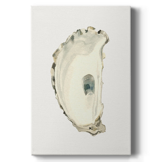 Neutral Oyster Study II  - Canvas Art Print