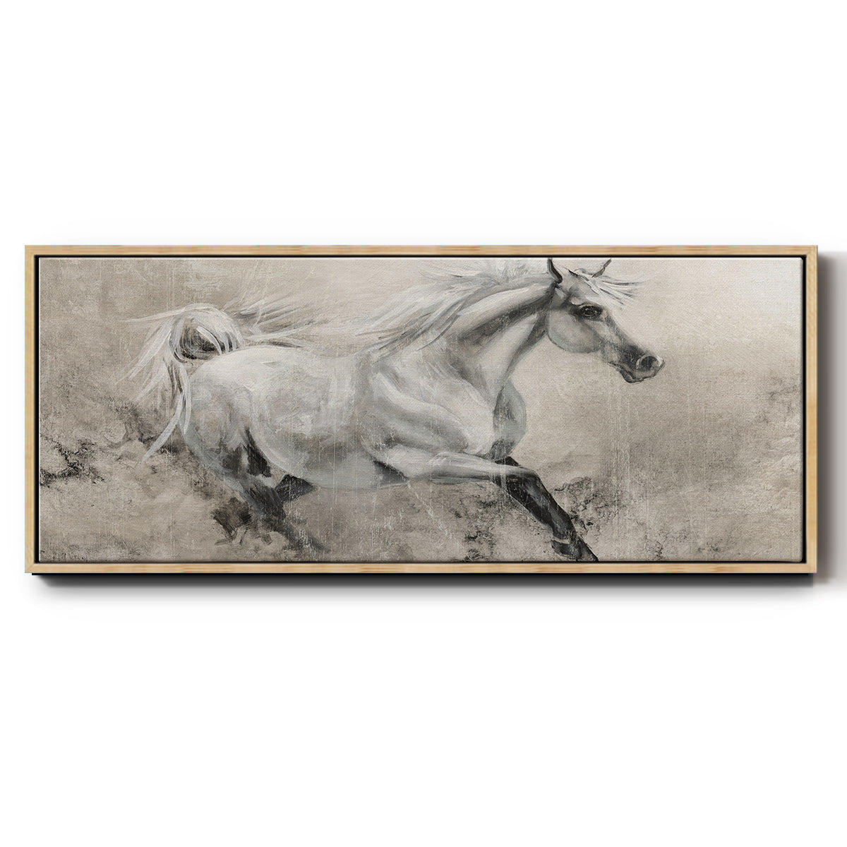 Majestic Stallion I - Floater Framed Canvas Print