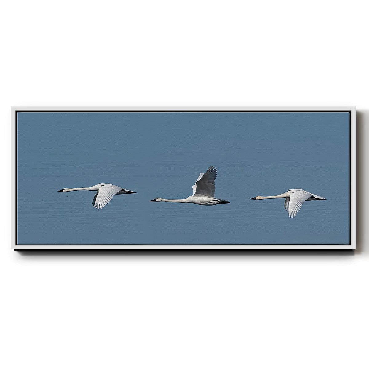 Wing Up Wing down - Floater Framed Canvas Print