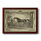 Distinguished Horses IV Premium Framed Canvas- Ready to Hang