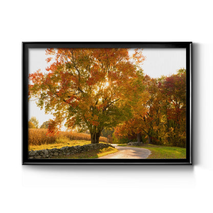 Maple Tree Drive - Modern Framed Canvas Print