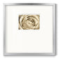 Neutral Wall Flower IV Premium Framed Print Double Matboard