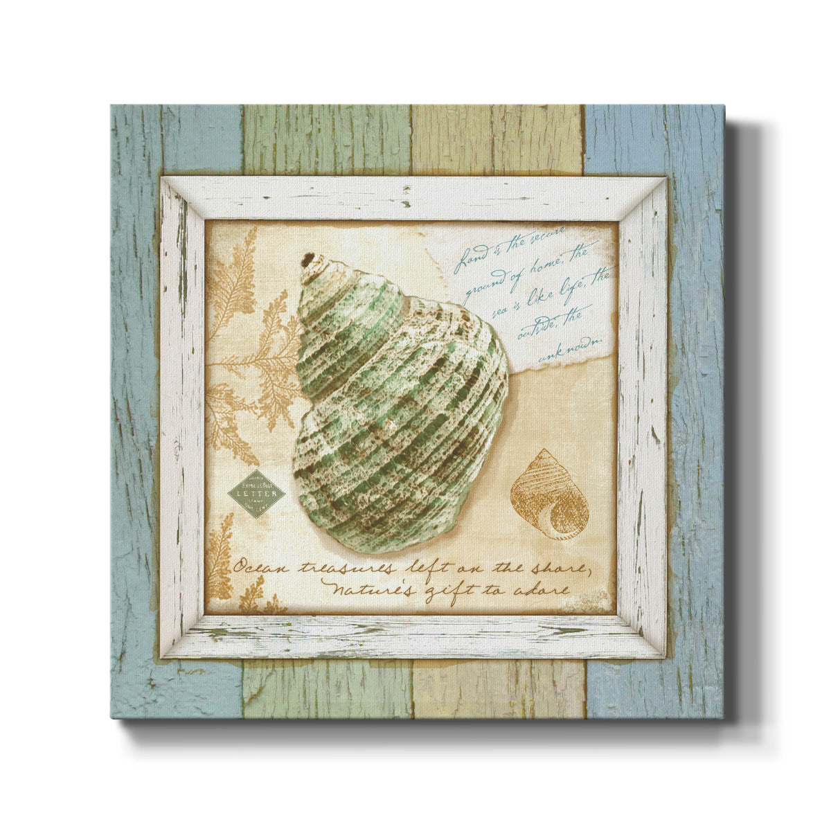 Sea Treasures VI-Premium Gallery Wrapped Canvas - Ready to Hang