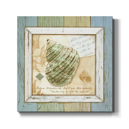 Sea Treasures VI - Canvas Art Print