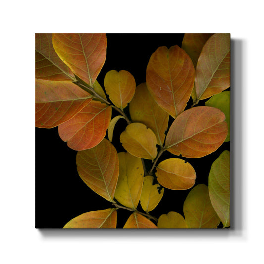 Small Vivid Leaves I (ST) - Canvas Art Print