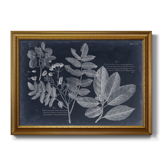 Foliage on Navy V - Ornate Framed Canvas Print