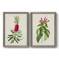 Pretty Pink Botanicals VII - Premium Framed Canvas 2 Piece Set - Ready to Hang