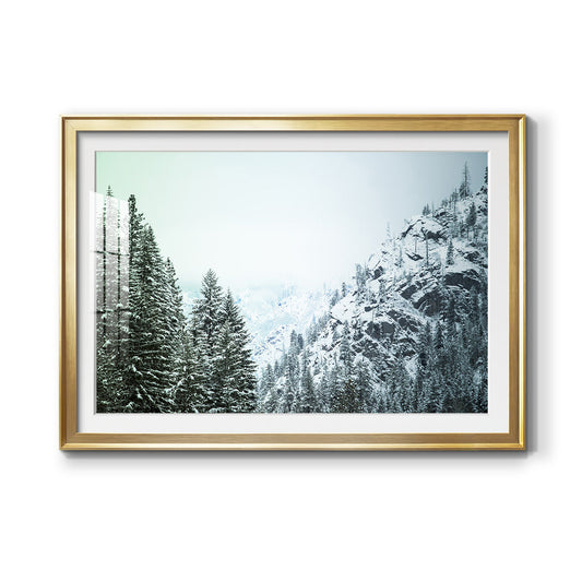 Snowfall in Cascadia II V1 Premium Framed Print - Ready to Hang