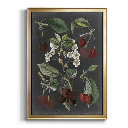 Orchard Varieties I - Modern Framed Canvas Print