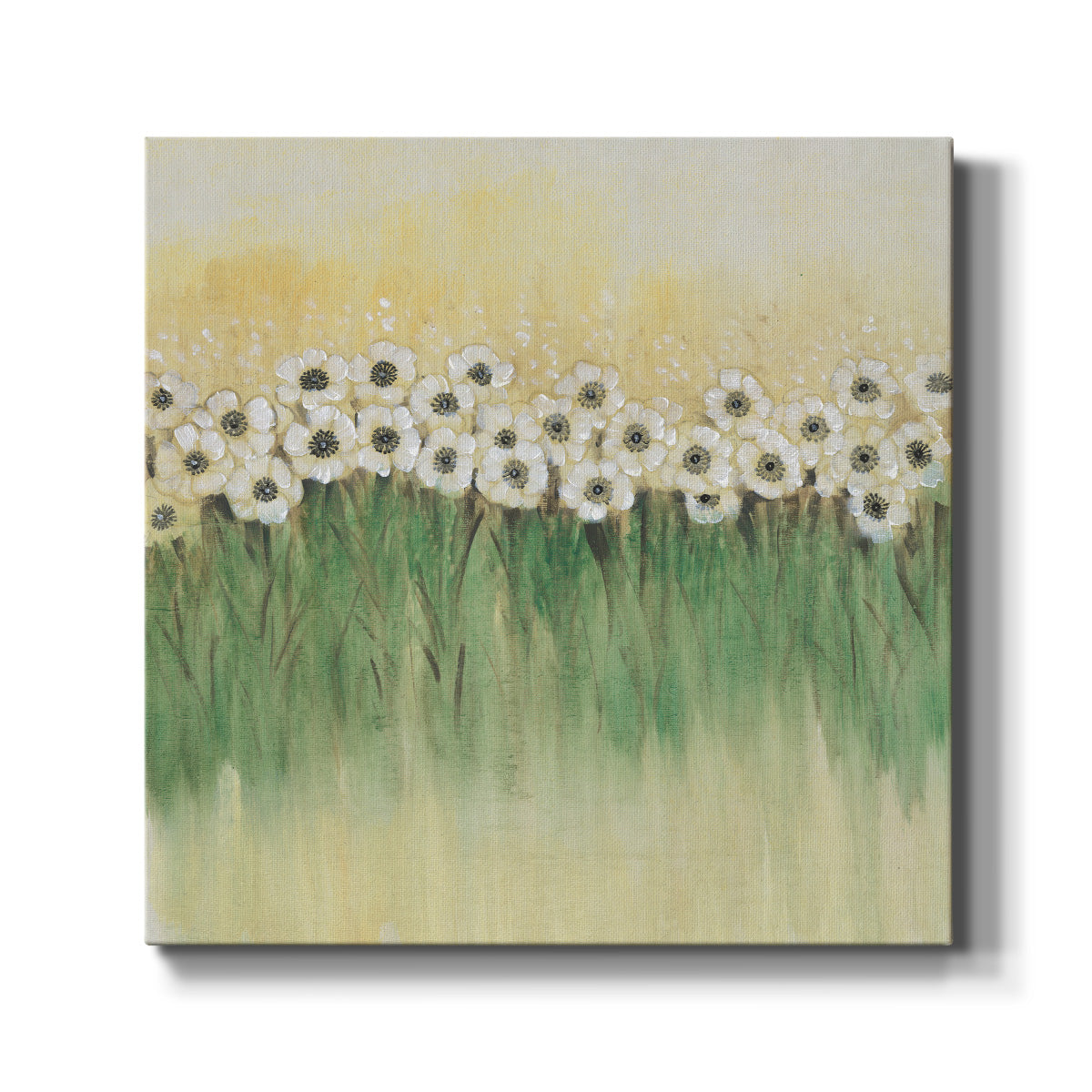 Rows of Flowers I - Canvas Art Print