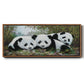 Panda Play - Floater Framed Canvas Print