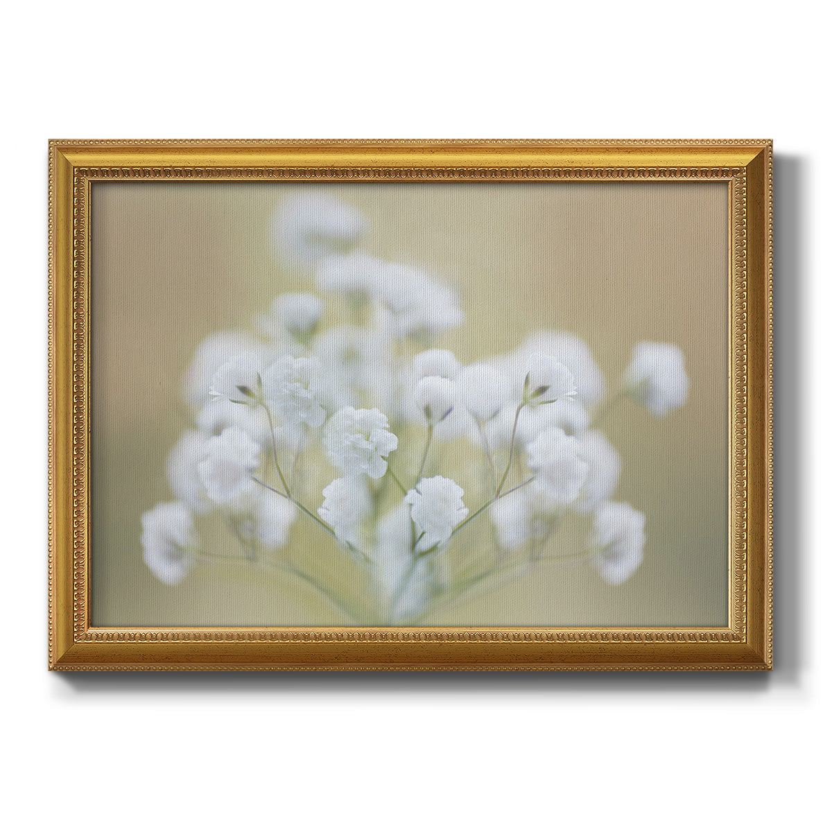 Baby's Breath Study I Premium Framed Canvas- Ready to Hang