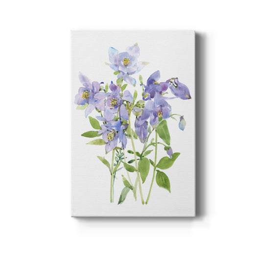 Columbine Spray I Premium Gallery Wrapped Canvas - Ready to Hang