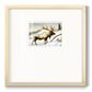 Snow Elk Premium Framed Print Double Matboard