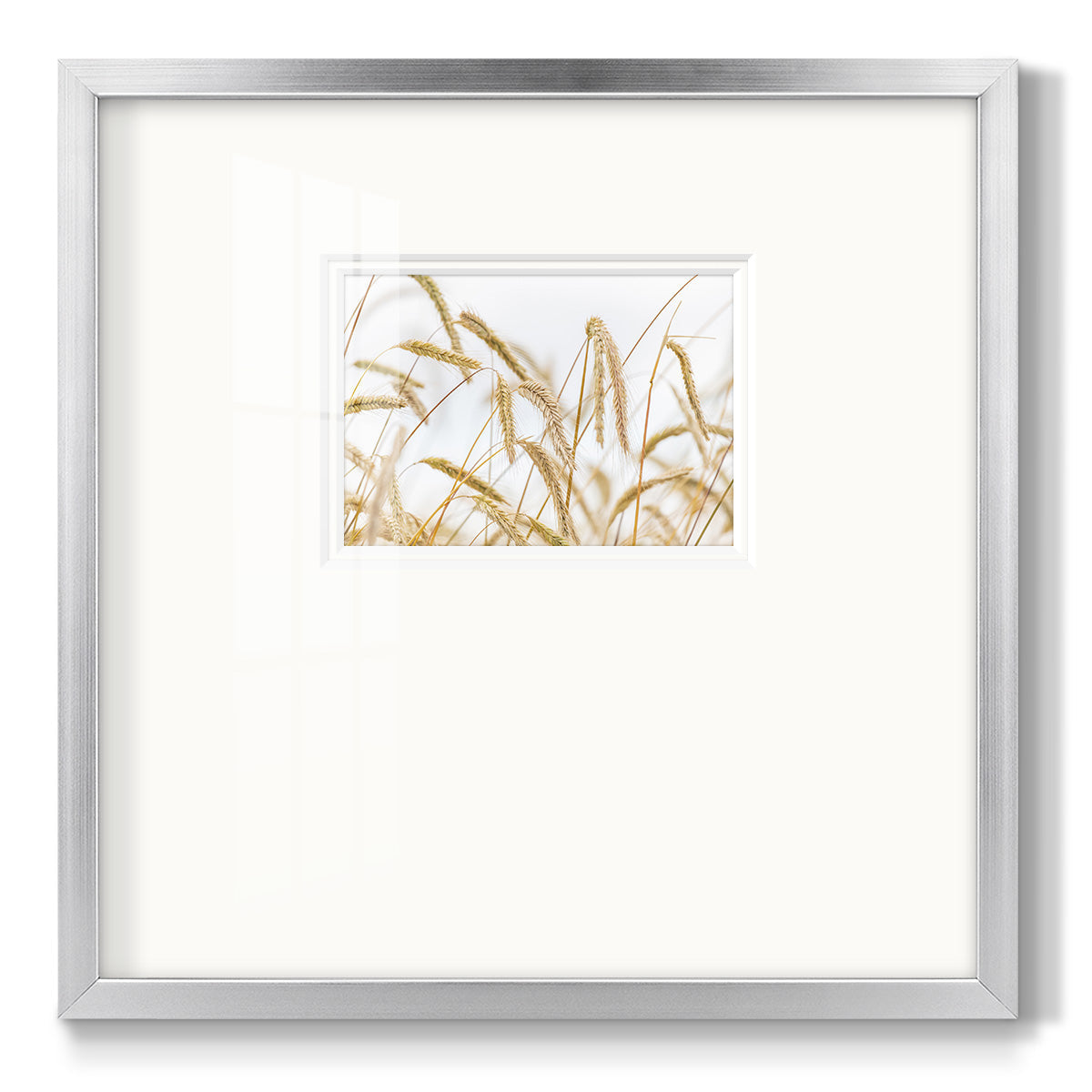 Wheat Premium Framed Print Double Matboard