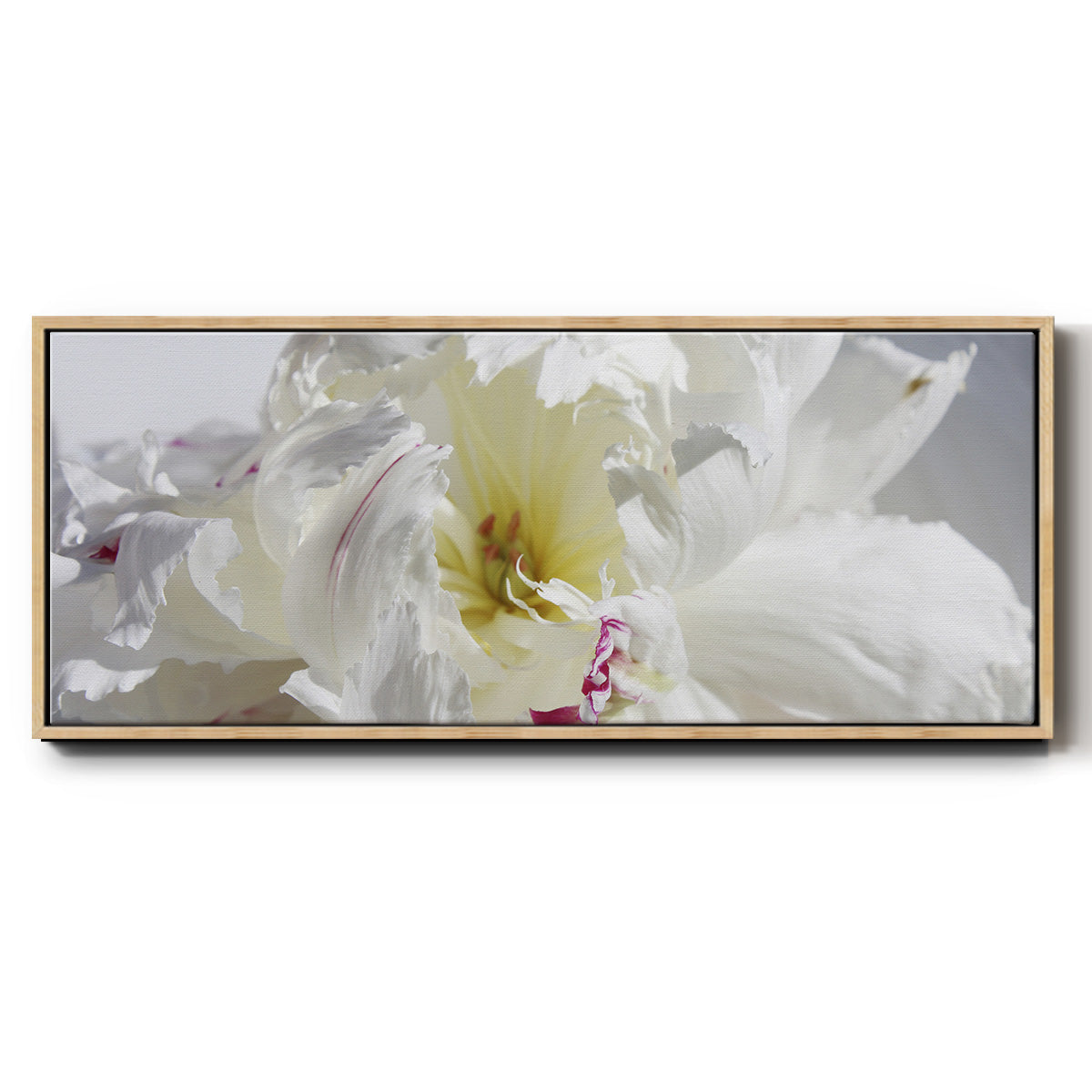 Breathless IV - Floater Framed Canvas Print
