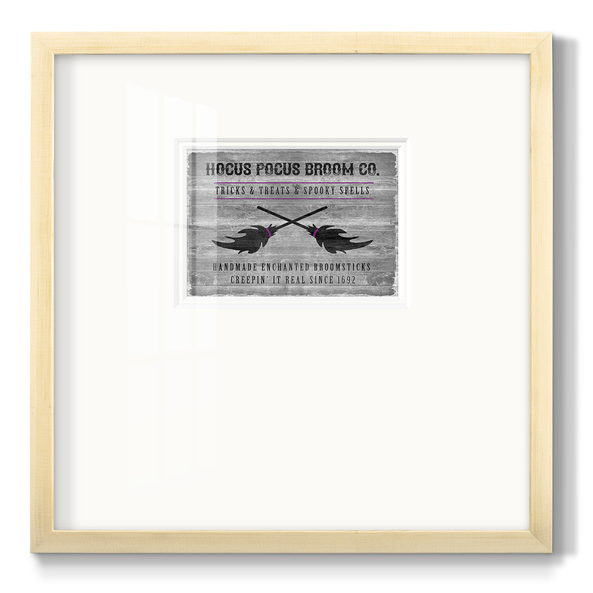 Hocus Pocus Broom Co Premium Framed Print Double Matboard