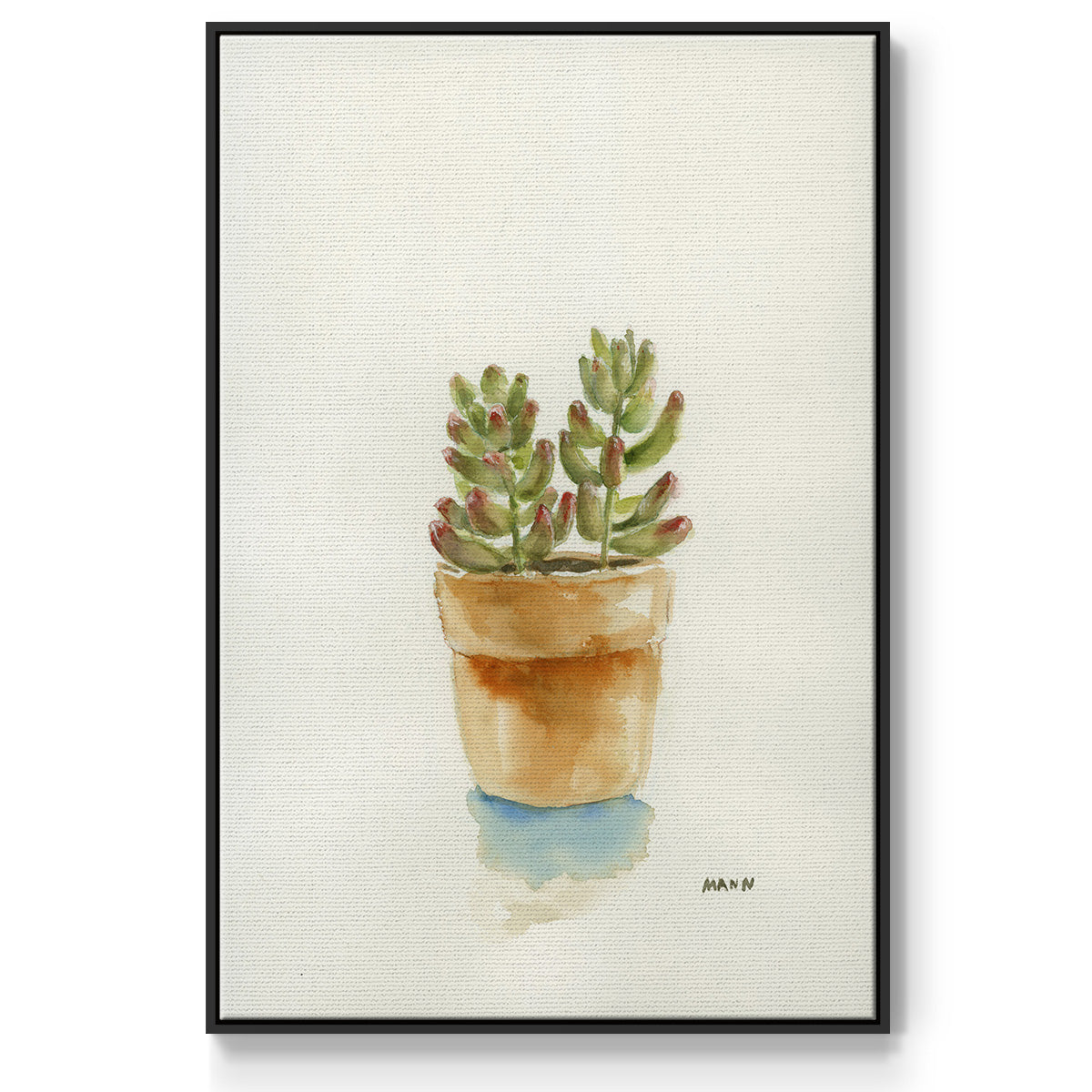 Succulent III - Framed Premium Gallery Wrapped Canvas L Frame - Ready to Hang