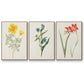 Flowers of the Seasons IV - Framed Premium Gallery Wrapped Canvas L Frame 3 Piece Set - Ready to Hang