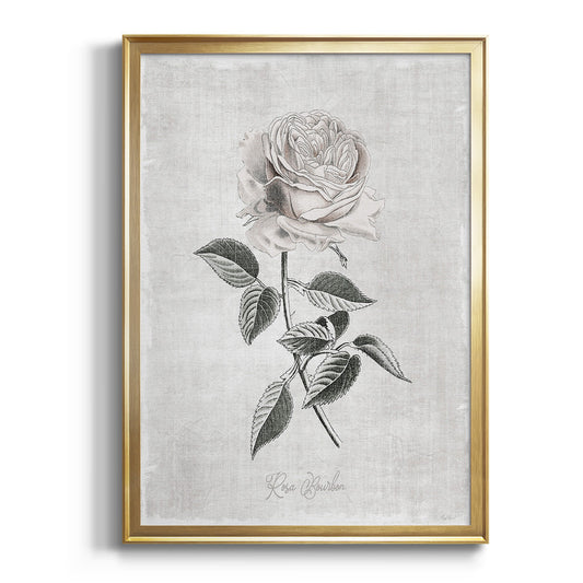 Vintage Botanical I - Modern Framed Canvas Print