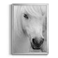 Island Pony I - Modern Framed Canvas Print