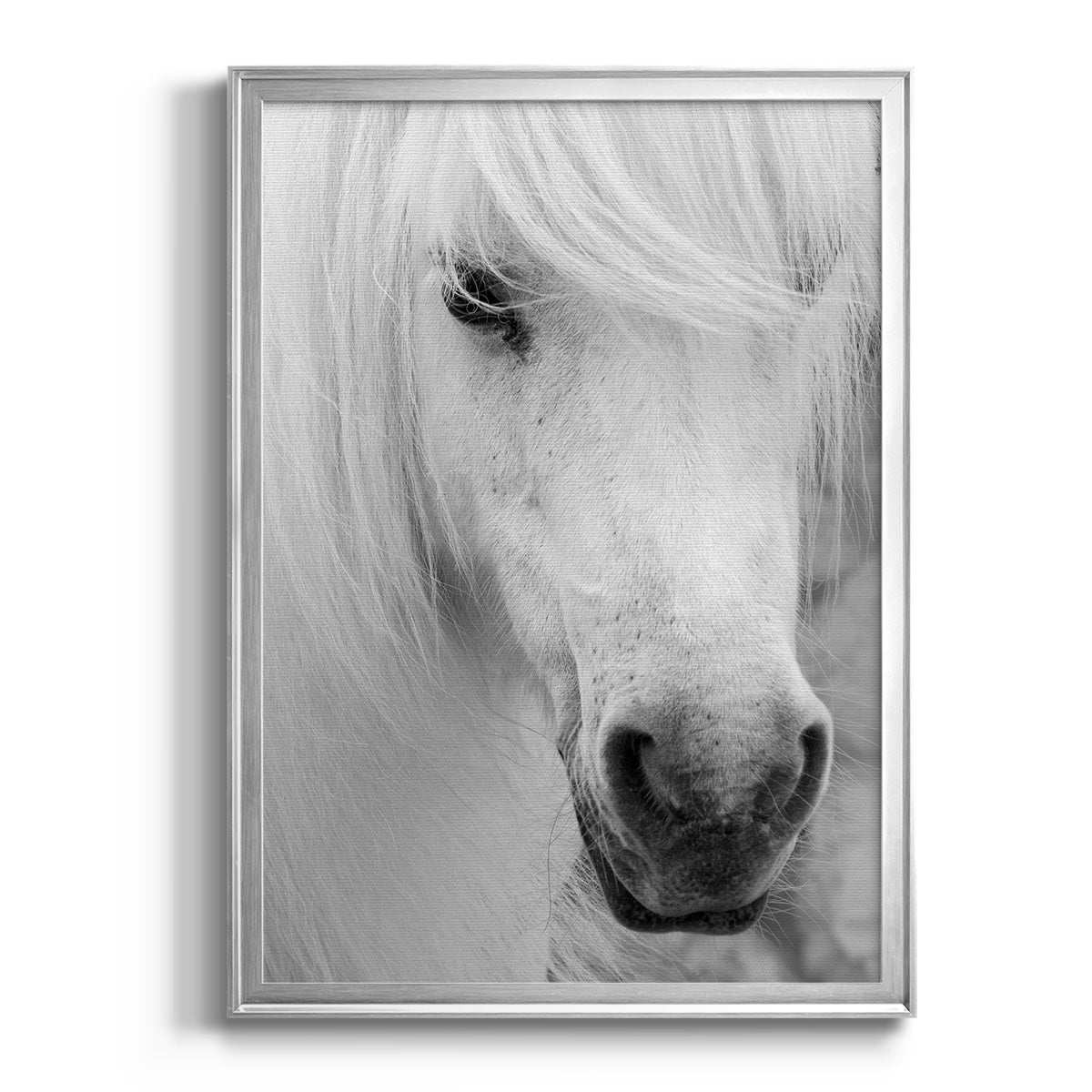 Island Pony I - Modern Framed Canvas Print