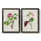 Pretty Pink Botanicals V - Barnwood Framed Canvas Set