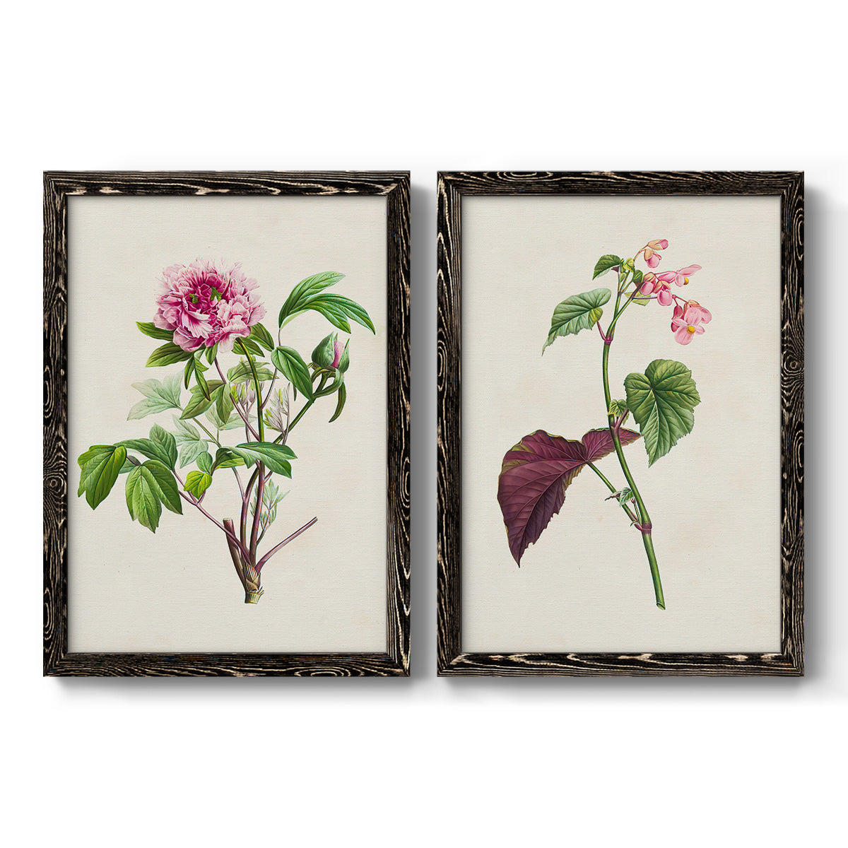 Pretty Pink Botanicals V - Barnwood Framed Canvas Set