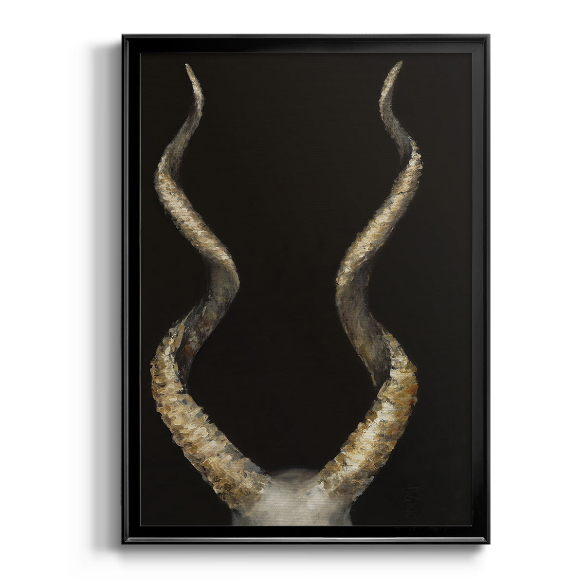 Spiral Antelope Horns -  Framed Canvas Print