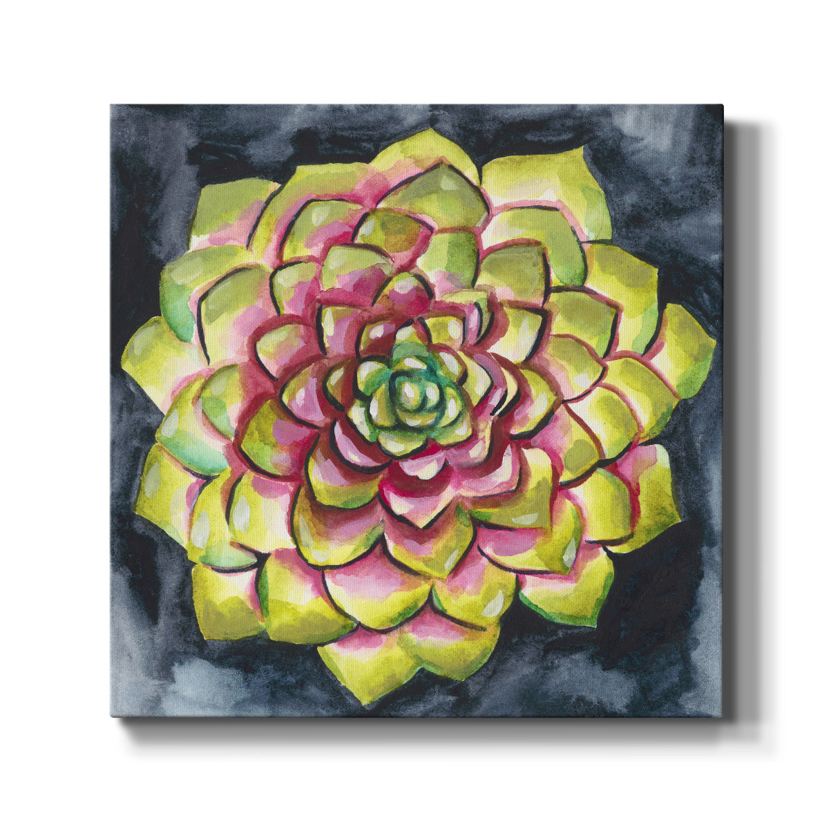 Succulent Rosette III - Canvas Art Print