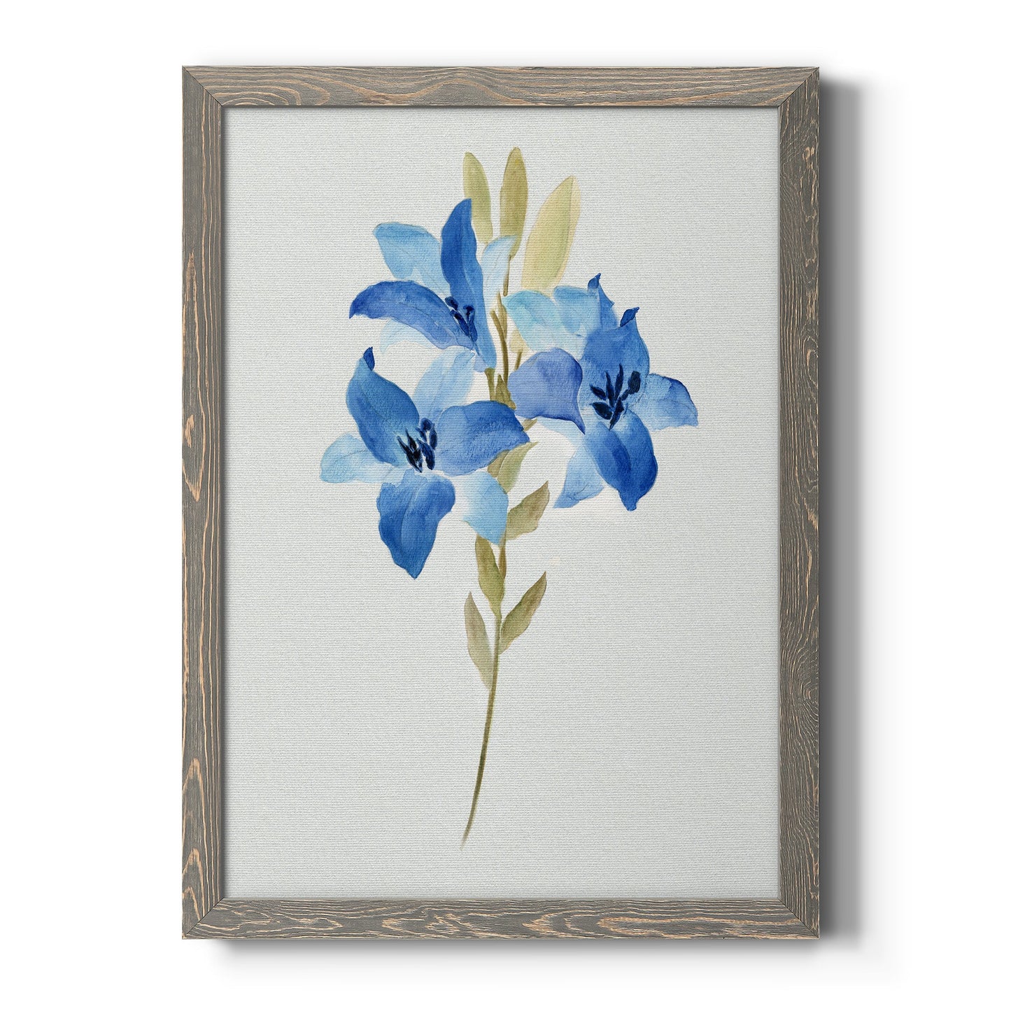 Blue Blossom Botanical III - Barnwood Framed Canvas Print