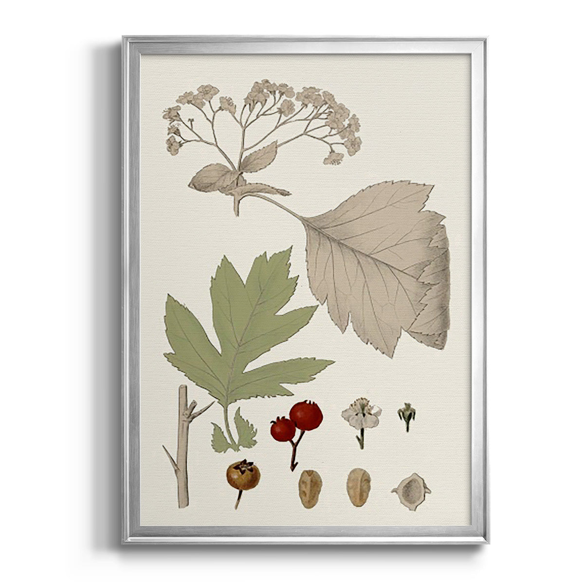 Leaves & Berries II - Modern Framed Canvas Print