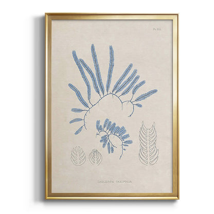 Blue Marine Algae II - Modern Framed Canvas Print