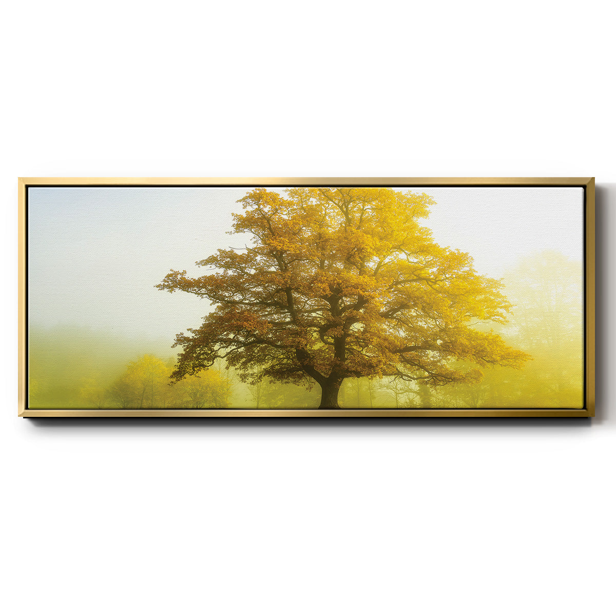 The Sentinel - Floater Framed Canvas Print
