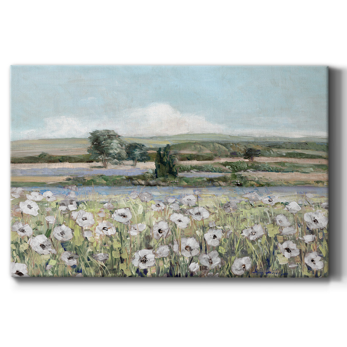 Vintage Poppy Valley Premium Gallery Wrapped Canvas - Ready to Hang