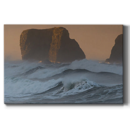 To the Shore - Canvas Art Print