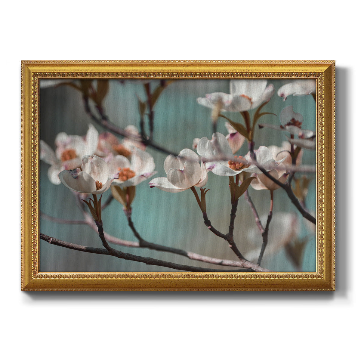 Dogwood Spring IV Premium Framed Canvas- Ready to Hang