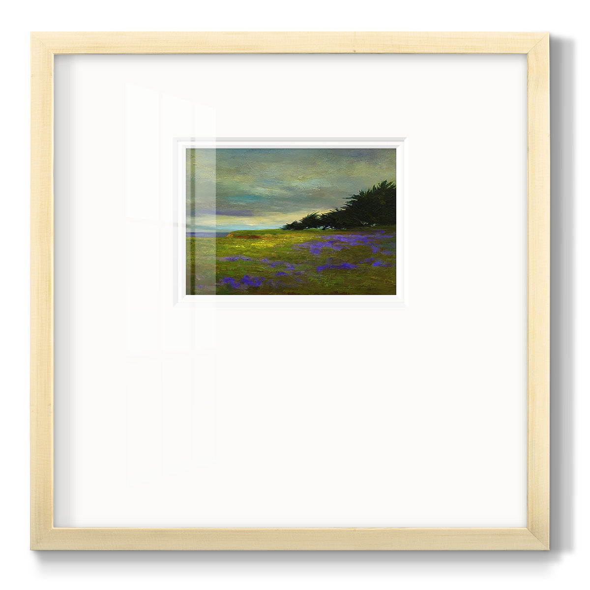 Coastal Views VI Premium Framed Print Double Matboard