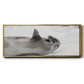 Laughing Seal - Floater Framed Canvas Print