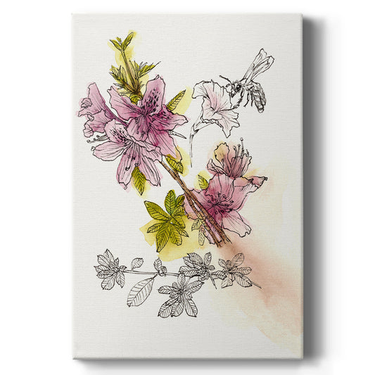 Floral Field Notes I - Canvas Art Print